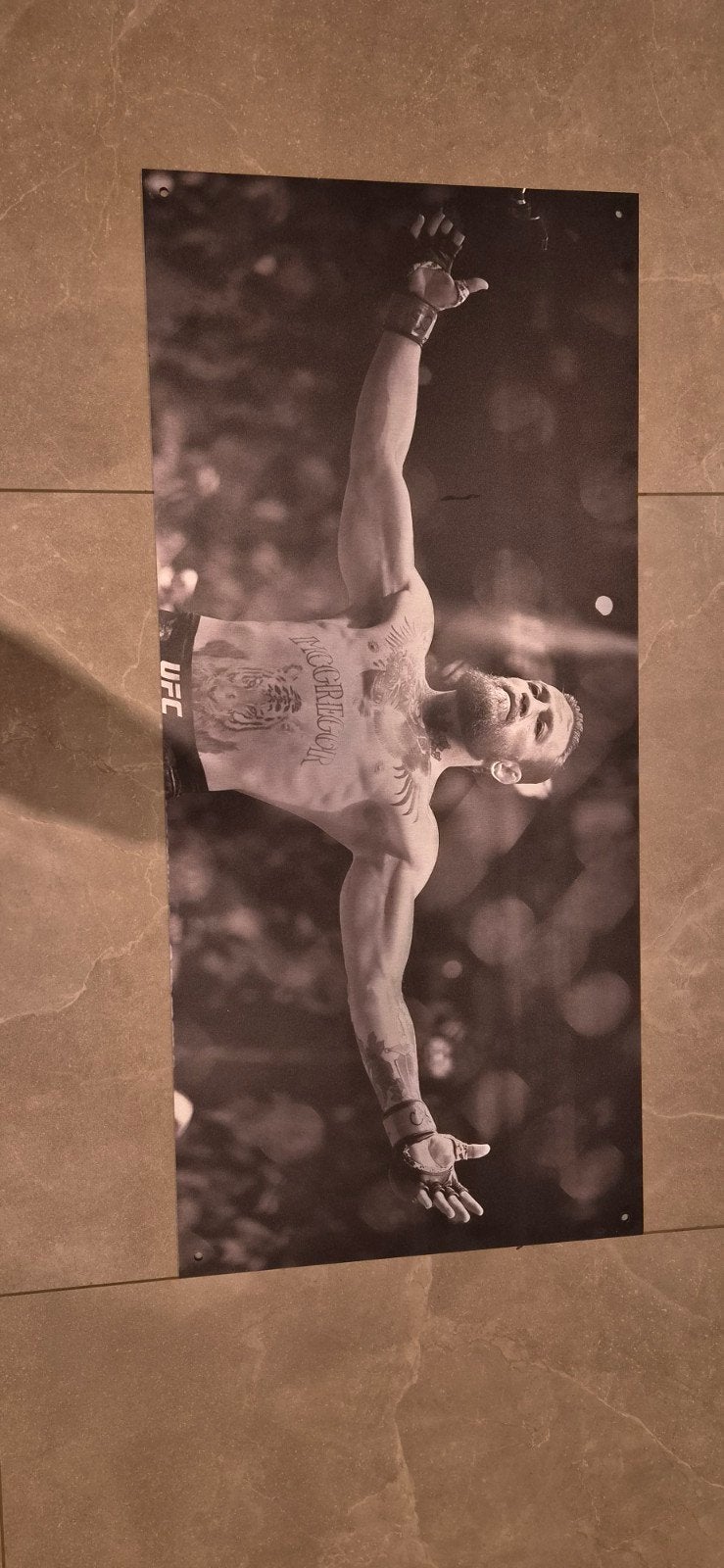 Conor mcgregor schilderij aluminium, Ophalen of Verzenden, Zo goed als nieuw