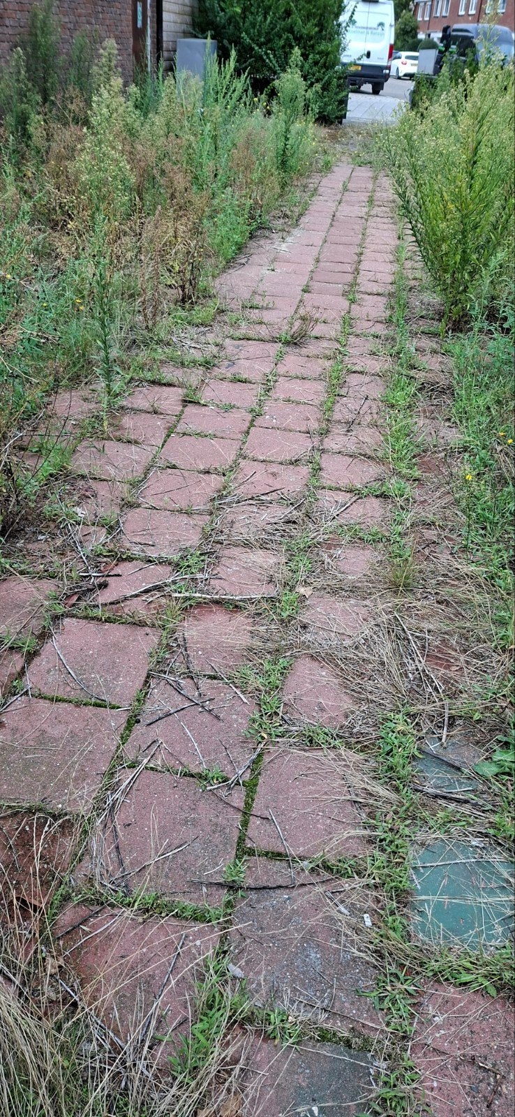 Tuin stenen, Tuin en Terras, Ophalen, Gebruikt, 10 m² of meer, Beton