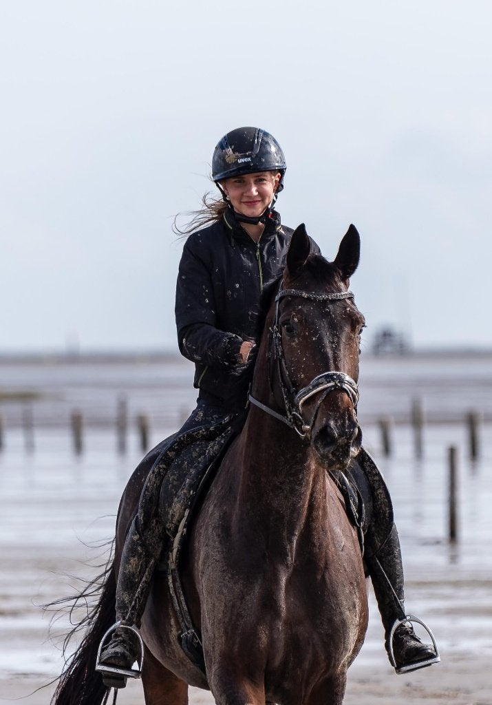 Stalling gezocht omgeving Assen/Groningen, Stalling, 1 paard of pony