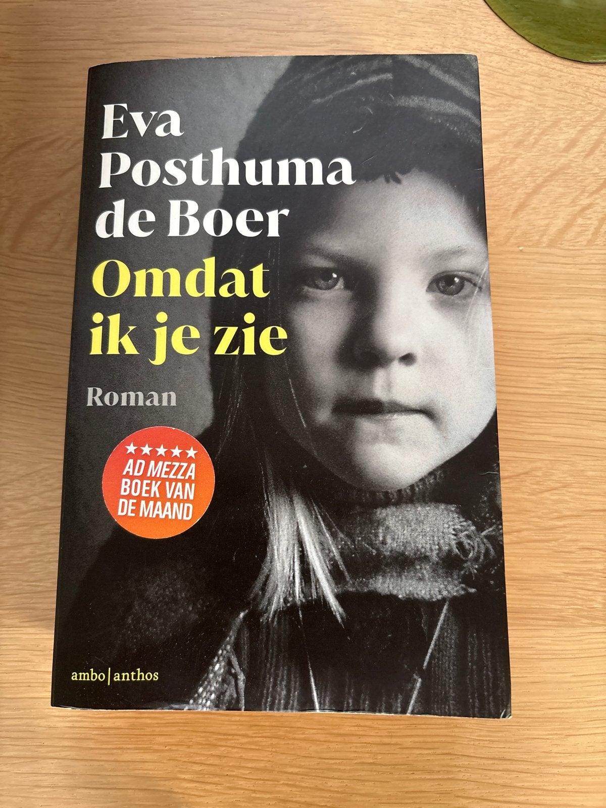 Eva Posthuma de Boer - Omdat ik je zie  gebruikt), Ophalen of Verzenden, Gelezen, Nederland