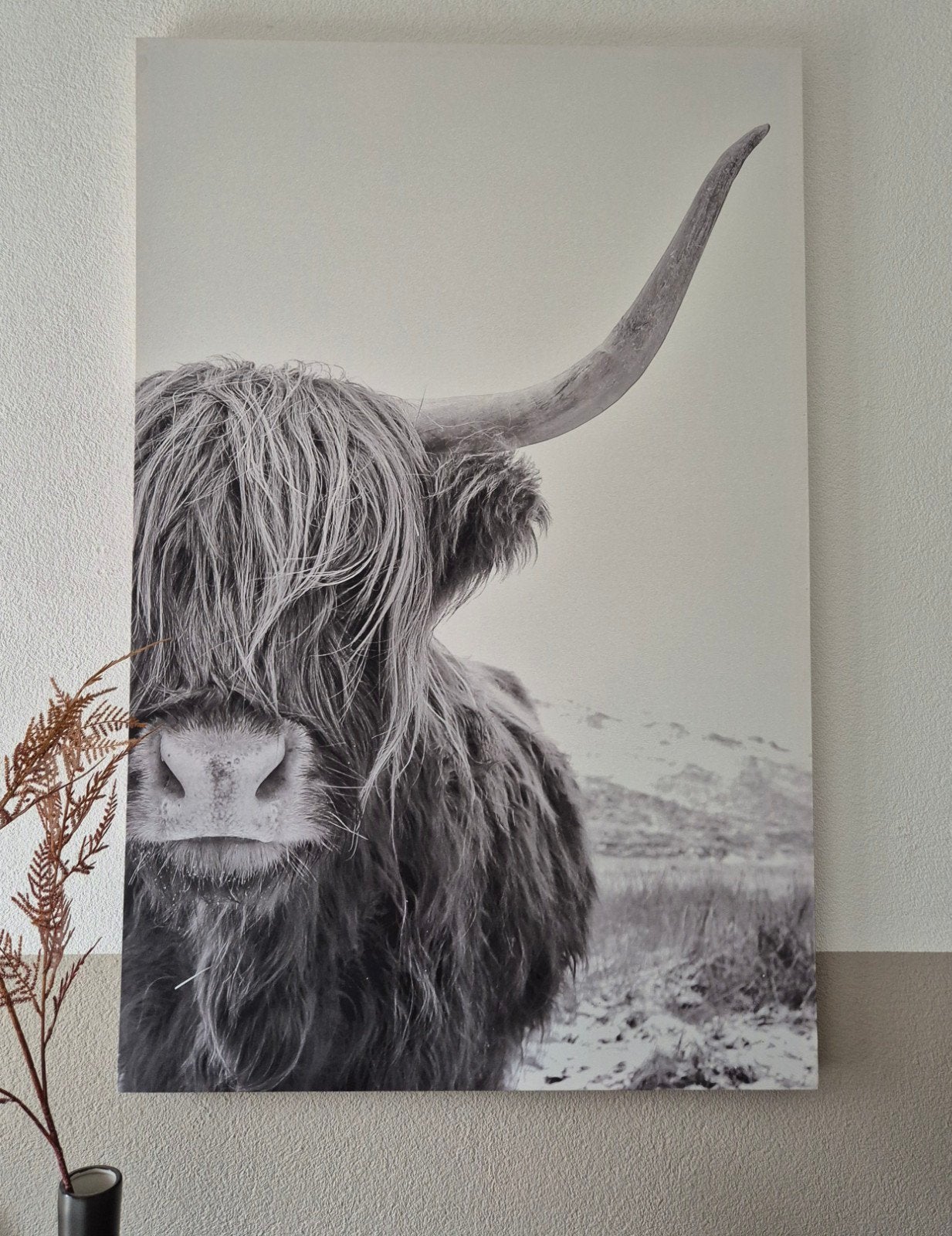 Canvas schilderij Schotse Hooglander zwart-wit, Ophalen of Verzenden, 75 – 100, 50 tot 75 cm, Print