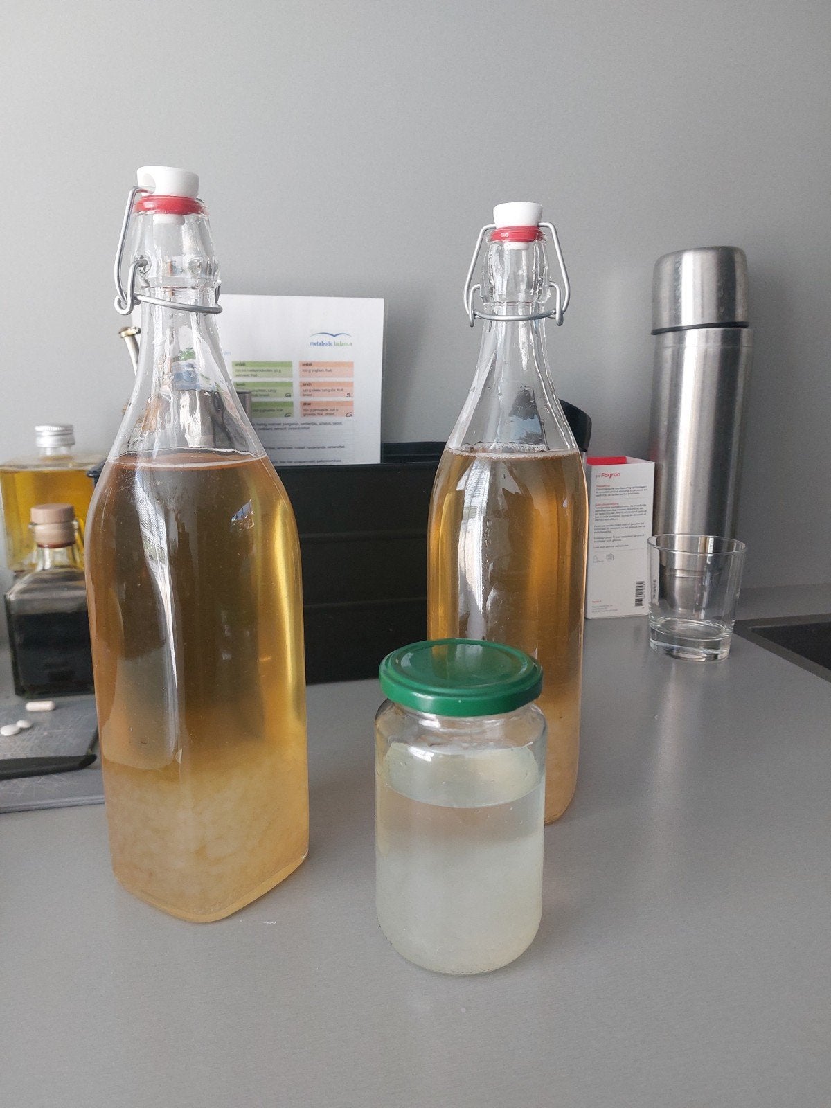 waterkefir korrels, Ophalen of Verzenden, Nieuw