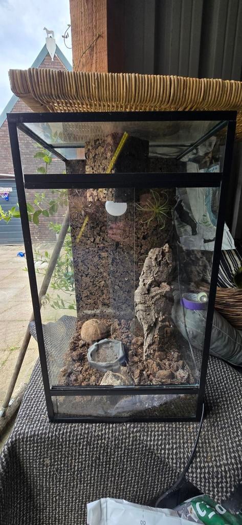 Terrarium, Ophalen