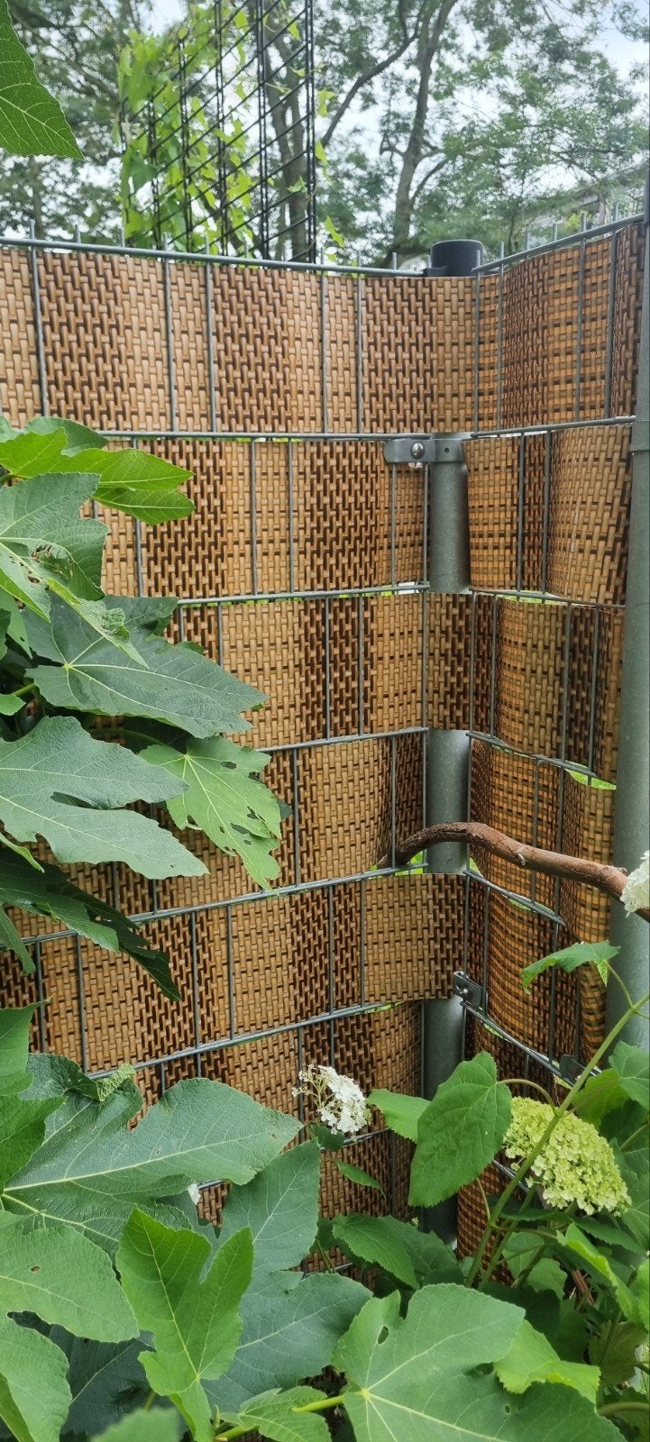 Imitatie rotanvlechtwerk voor privacy en decoratie, Ophalen, Overige materialen, Minder dan 3 meter, Nieuw