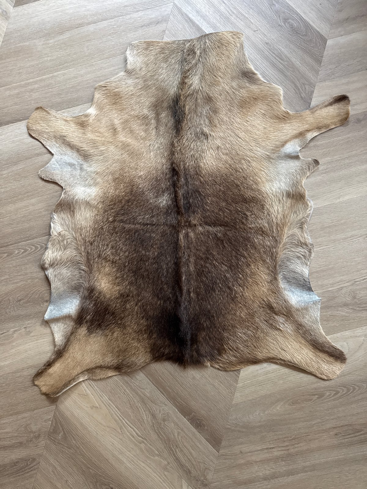 Prachtig geitenvel - Natuurlijke decoratie, 100 tot 150 cm, Bruin, Zo goed als nieuw, Overige vormen