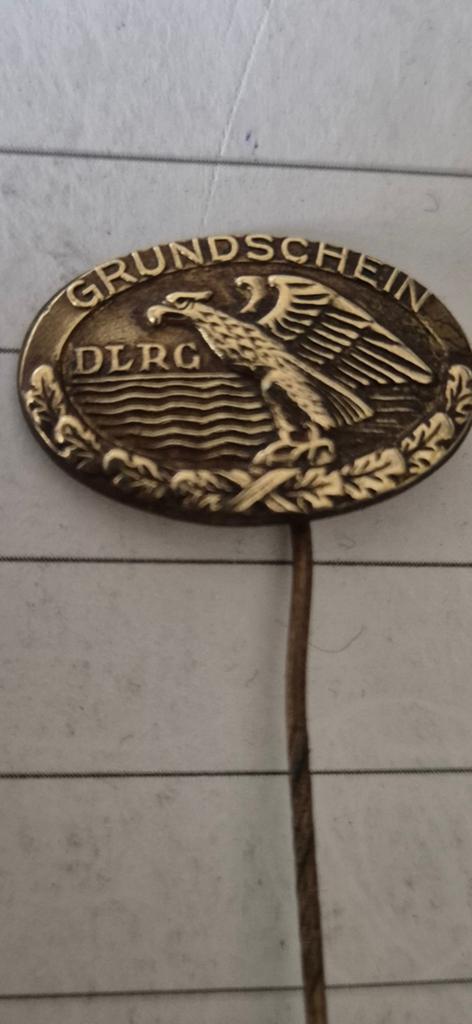 Bronzen DLRG Grundschein speld, Ophalen of Verzenden
