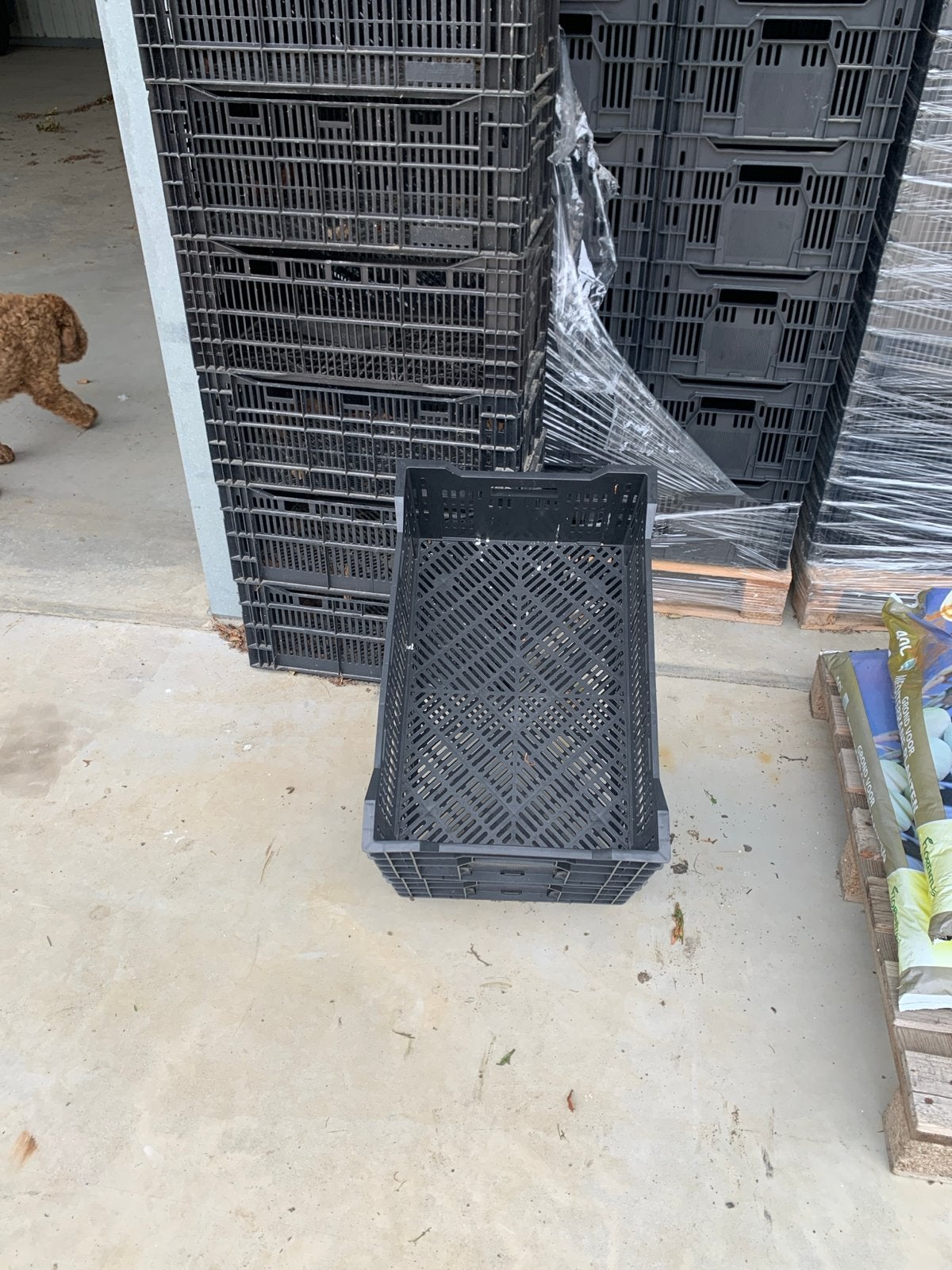 Nieuwe leliekratten op pallets - 300 stuks, Doe-het-zelf en Verbouw, 100 cm of meer, 60 cm of meer, Ophalen of Verzenden, Krat