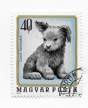 Postzegel Hongarije 40 Forint, Ophalen of Verzenden, Gestempeld