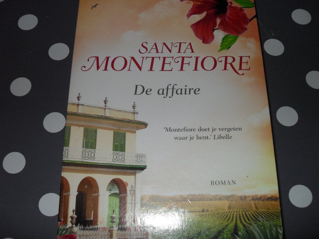 BOEK SANTA MONTEFIORE-DE AFFAIRE., Boeken, Romans, Europa overig, Ophalen of Verzenden, Santa Montefiore, Zo goed als nieuw