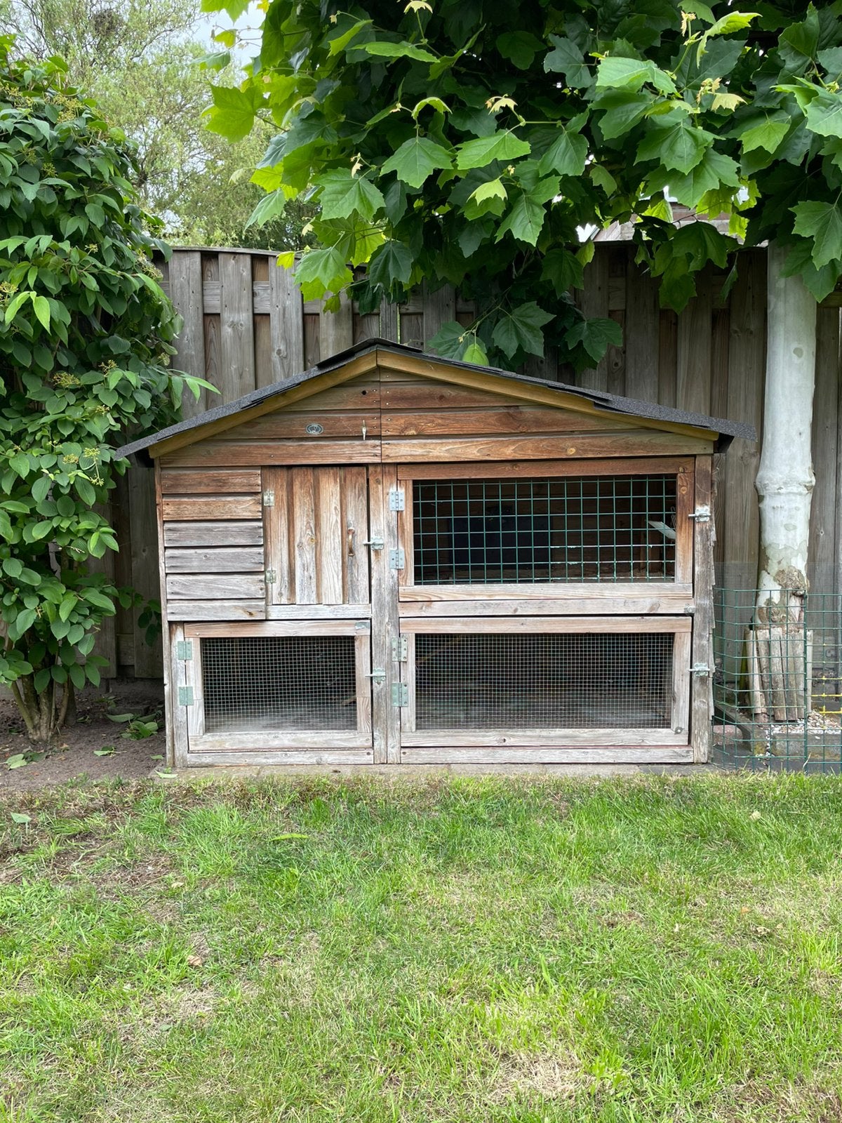 Te koop konijnen hok, Dieren en Toebehoren, Konijnen, Meerdere dieren, Groot, 3 tot 5 jaar