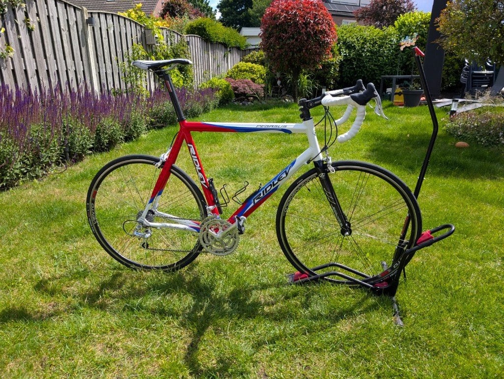 Ridley Pegasus Racefiets (maat 61) - Topstaat, rijklaar, 28 inch, Velgrem, Zo goed als nieuw, 57 tot 61 cm