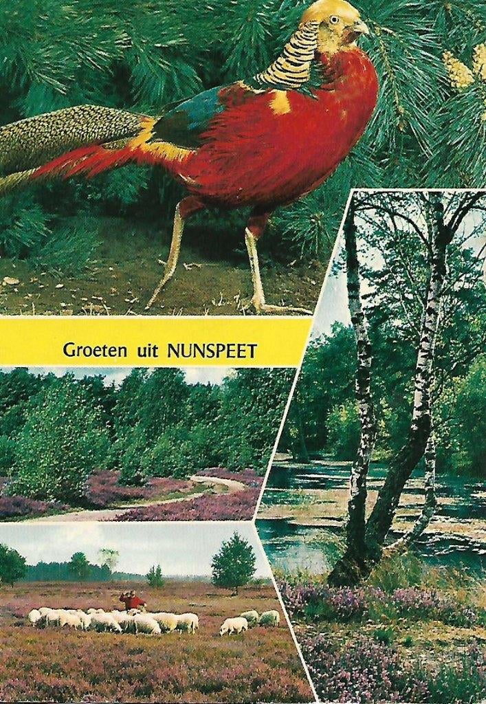 Nunspeet- -4-luik., Verzenden, 1960 tot 1980, Gelopen, Gelderland