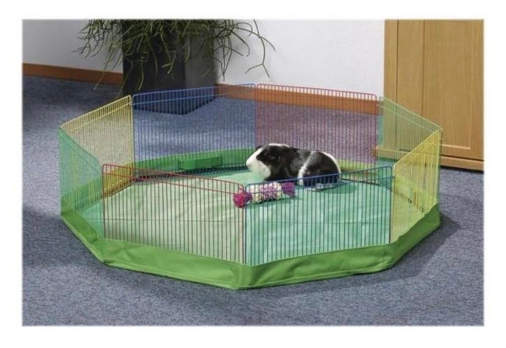 Hamster ren, Ophalen of Verzenden