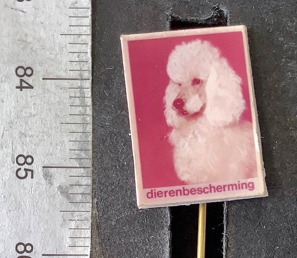 speld, Dierenbescherming Poedel (AW, Ophalen of Verzenden, Gebruikt, Dier of Natuur, Speldje of Pin