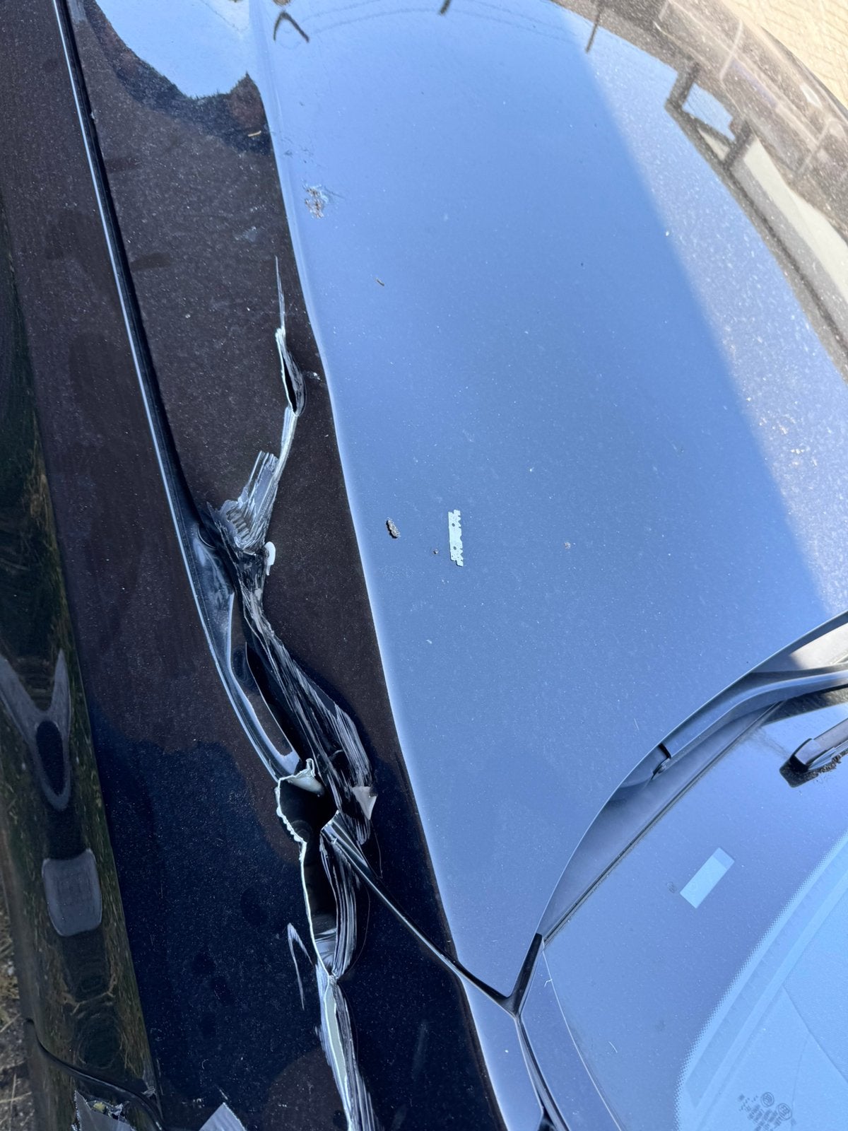 W222 mercedes S-Klasse motorkap en linkse deur, 33 - 40 uur, Overige niveaus, Overige vormen