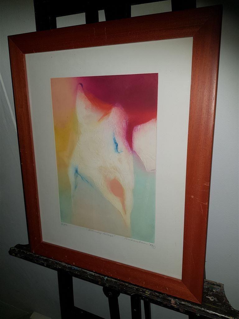 Jean Richardson [Morning Blaze], kleurenets, Antiek en Kunst, Kunst | Etsen en Gravures, Ophalen of Verzenden