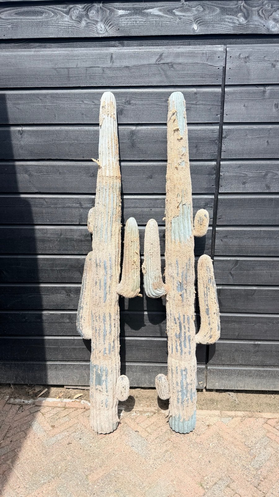 Decoratieve Cactussen - Set van 2, Tuin en Terras, Planten | Tuinplanten, Ophalen, Overige soorten