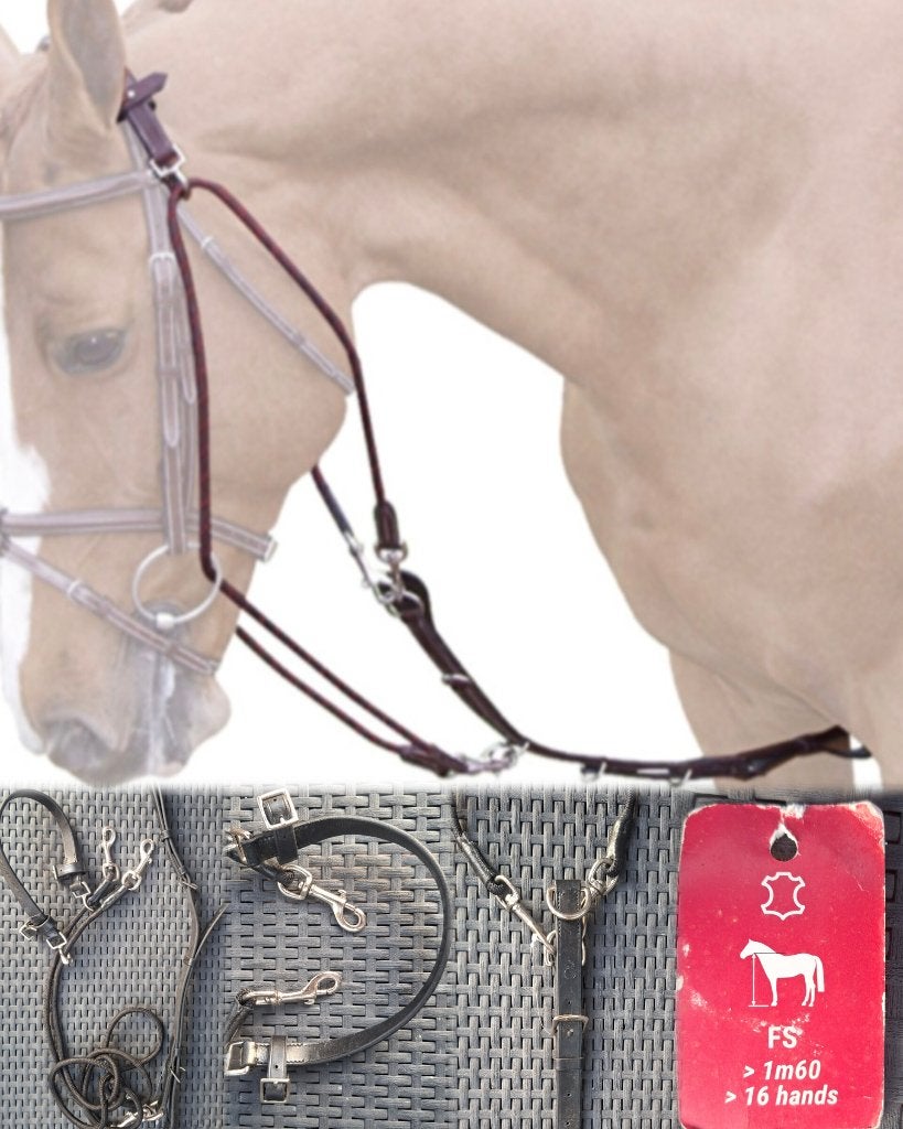 Gogue paard tekoop, Dieren en Toebehoren, Overige disciplines, Nieuw, Ophalen of Verzenden, Zwart