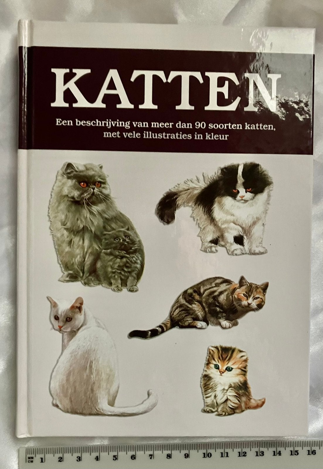 Boek 90 soorten katten nw, Boeken, Dieren en Huisdieren, Ophalen of Verzenden, Nieuw, Katten