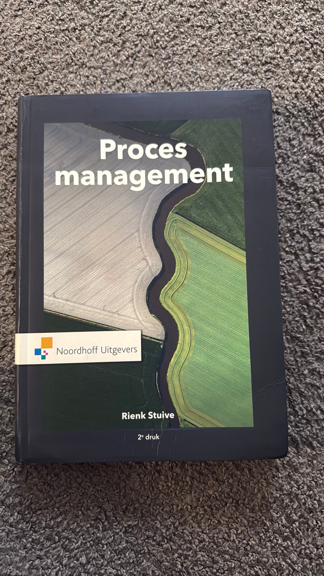 Rienk Stuive - Procesmanagement, Boeken, Ophalen of Verzenden, Zo goed als nieuw, Management, Rienk Stuive