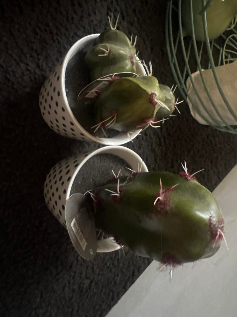 Twee kleine nep cactussen in potjes, Ophalen of Verzenden, Minder dan 100 cm, In pot, Cactus