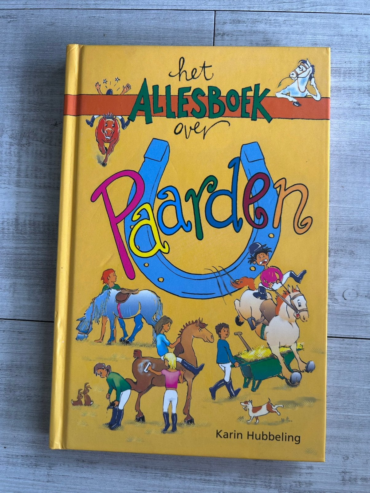 K. Hubbeling - Het Allesboek over Paarden, Boeken, Kinderboeken | Jeugd | onder 10 jaar, Non-fictie, Ophalen of Verzenden, Zo goed als nieuw