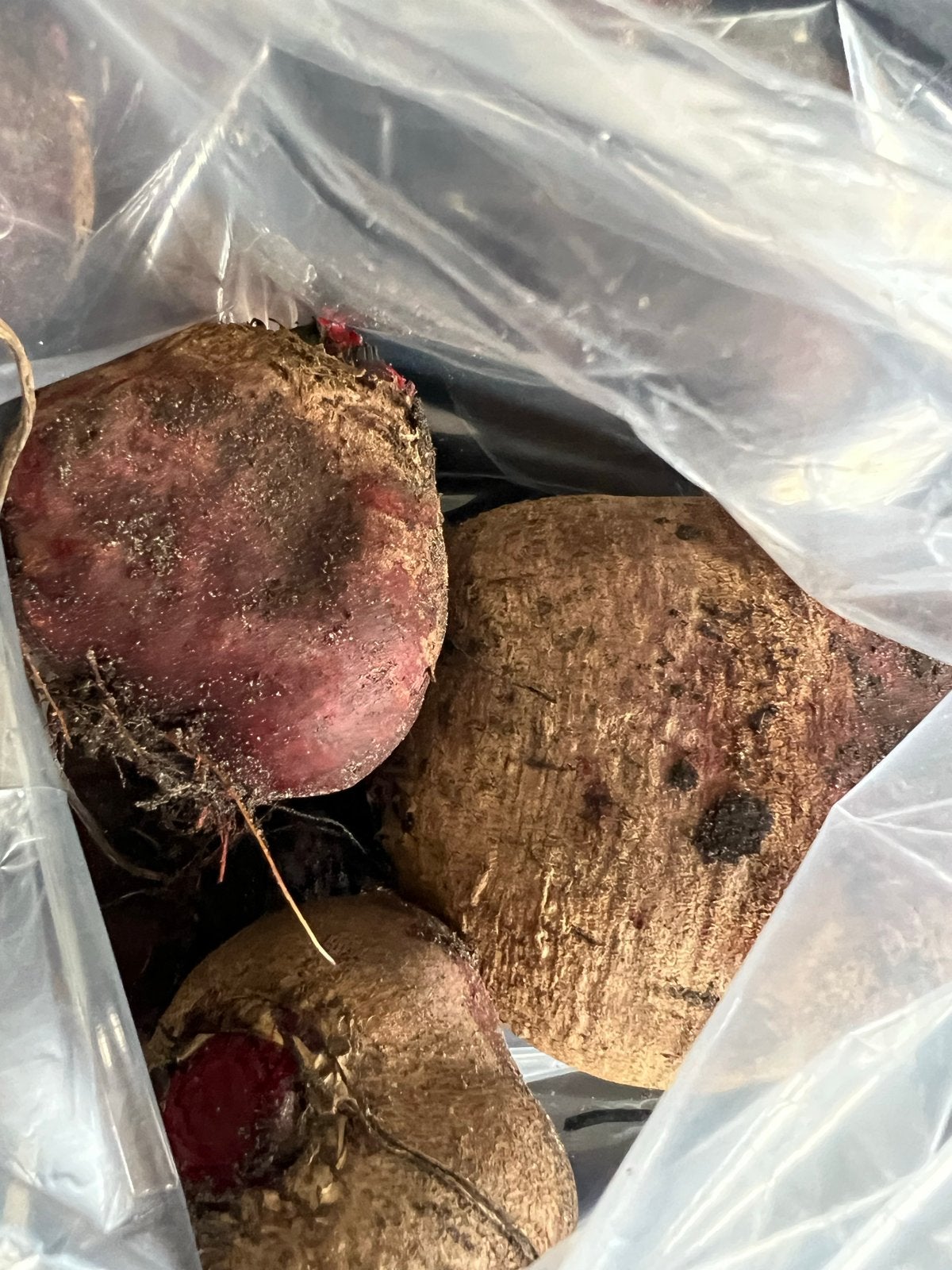 Verse biologische rode bieten, ruim 1 kg, Ophalen