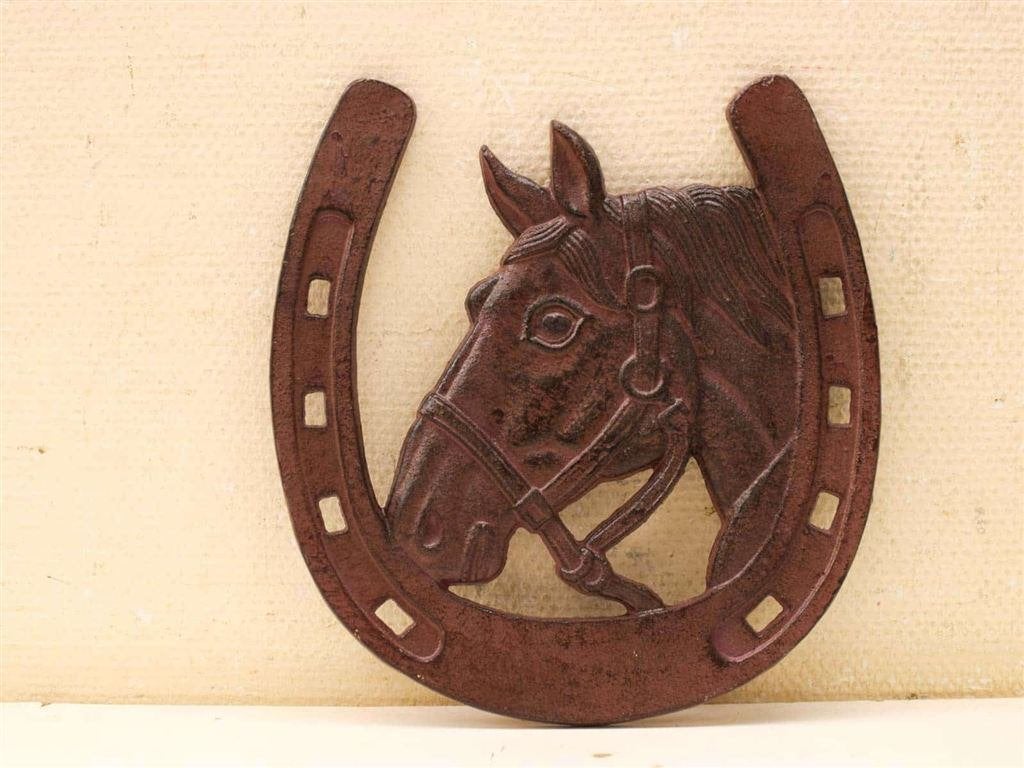 Metalen Wanddecoratie 53030