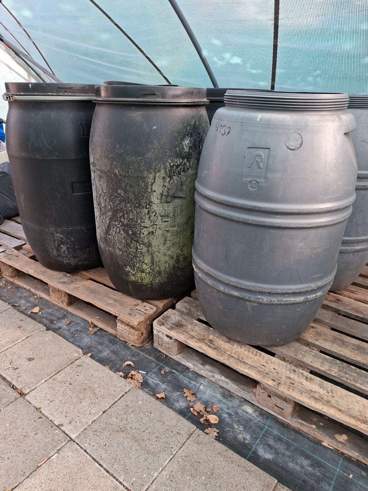 Regentonnen / Waterreservoirs, Tuin en Terras, 150 liter of meer, Ophalen, Gebruikt, Kunststof