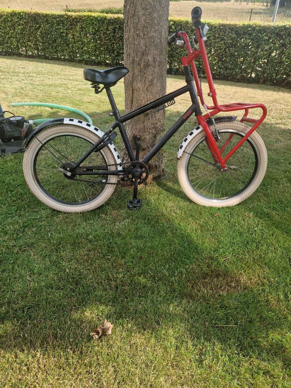 Montego kinderfiets met voordrager - Gebruikt, Terugtraprem, Gebruikt, Minder dan 49 cm, Ophalen