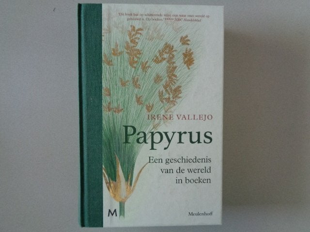 Papyrus - Een geschiedenis van de wereld in boeken/I.Vallejo, Overige gebieden, Irene Vallejo, Ophalen of Verzenden, Zo goed als nieuw