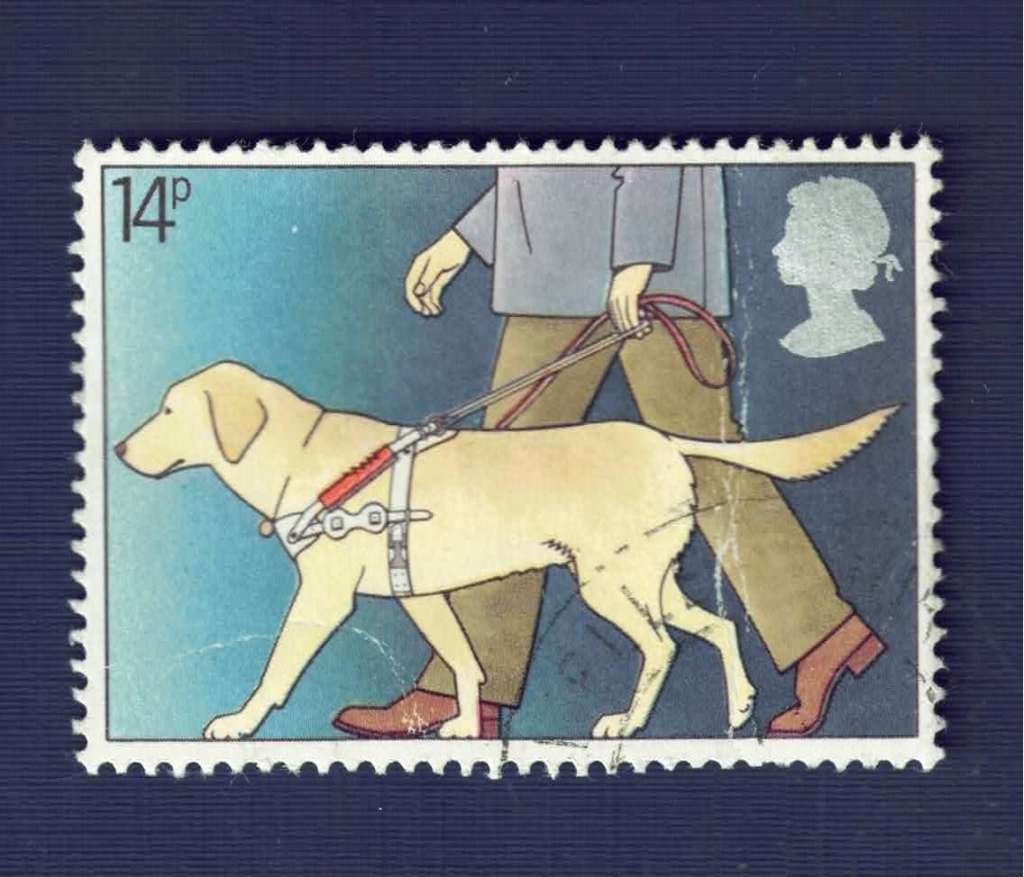 Fauna - Honden - Engeland - 14- - Blinde-geleidehond - gebr, Ophalen of Verzenden, Gestempeld, Dier of Natuur