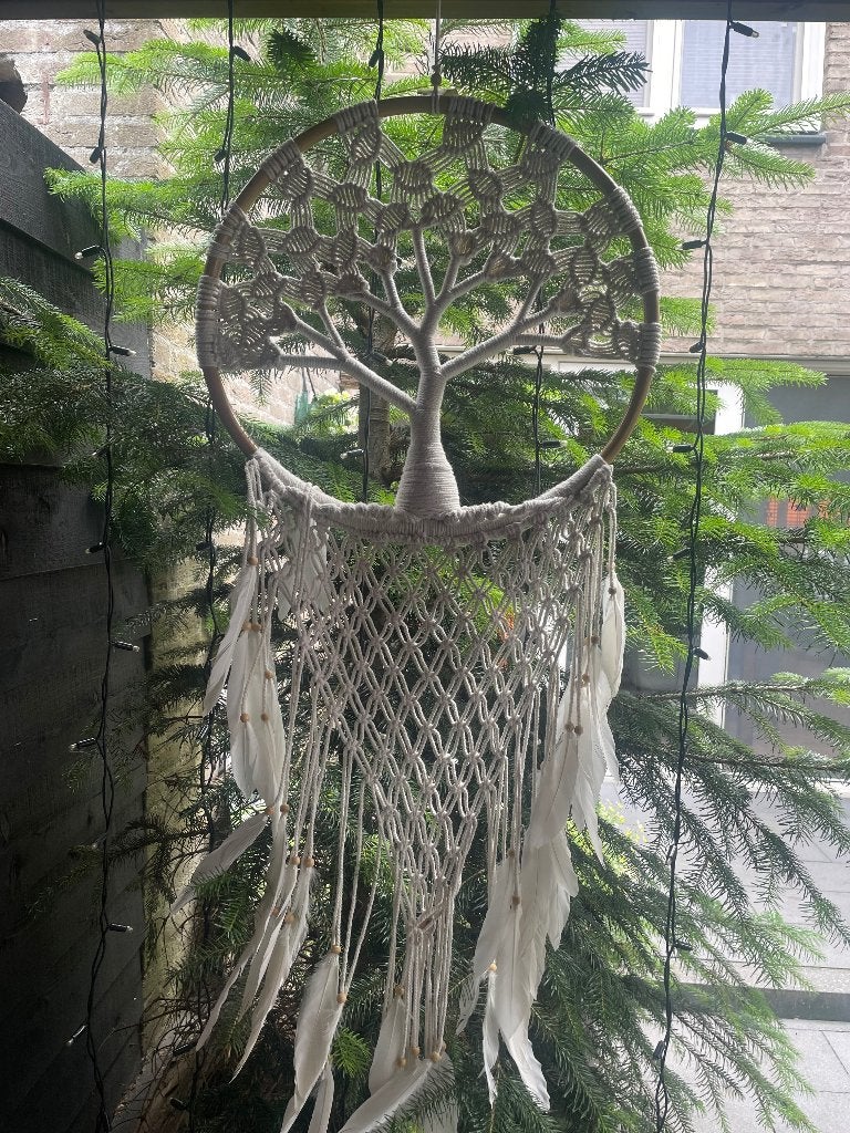 Grote dromenvanger, Gebruikt, Ophalen of Verzenden, Natuurlijk materiaal, Wandcirkel