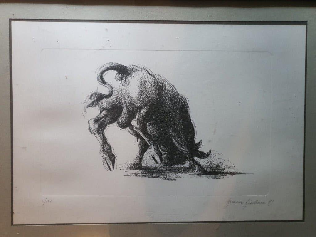 Ingelijst kunstwerk / zeefdruk / genummerd en gesigneerd, Antiek en Kunst, Zeefdruk, Ophalen of Verzenden, Dieren en Natuur, Gelimiteerde oplage
