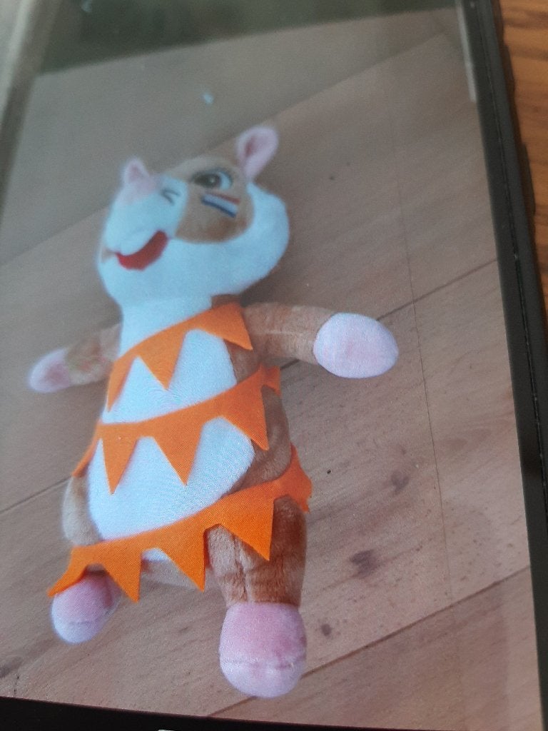 te koop oranje hamster, Ophalen of Verzenden, Nieuw