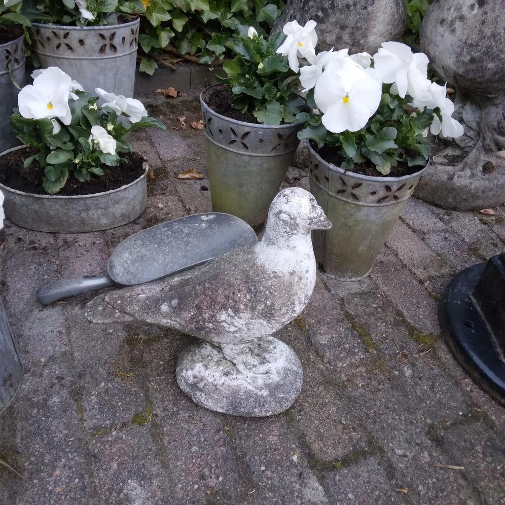 Verweerde duif beton, Ophalen