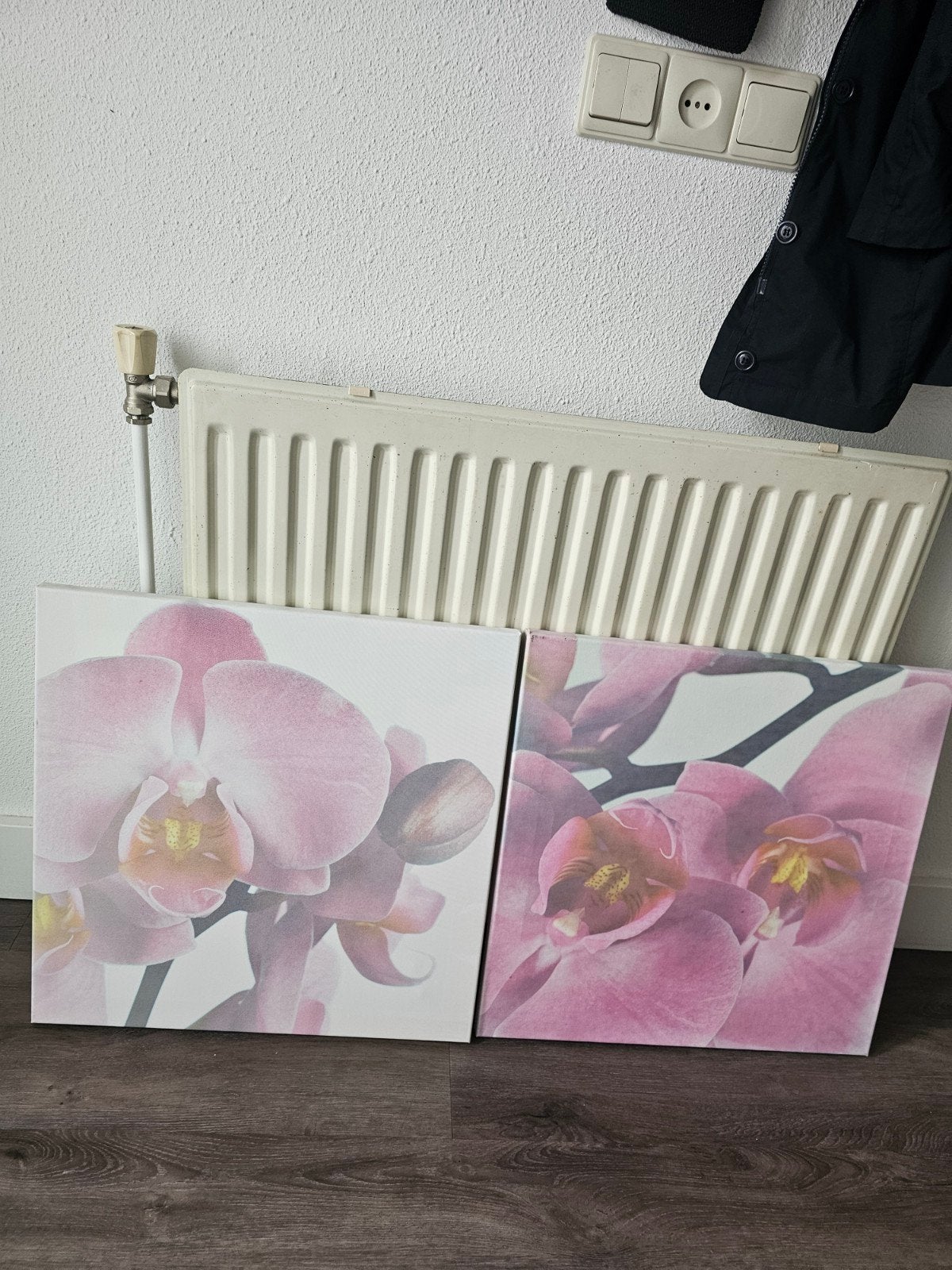 2 mooie canvas ieders 50x50 cm samen 9,95, Huis en Inrichting, Woonaccessoires | Schilderijen, Tekeningen en Foto's, Ophalen, 50 – 75