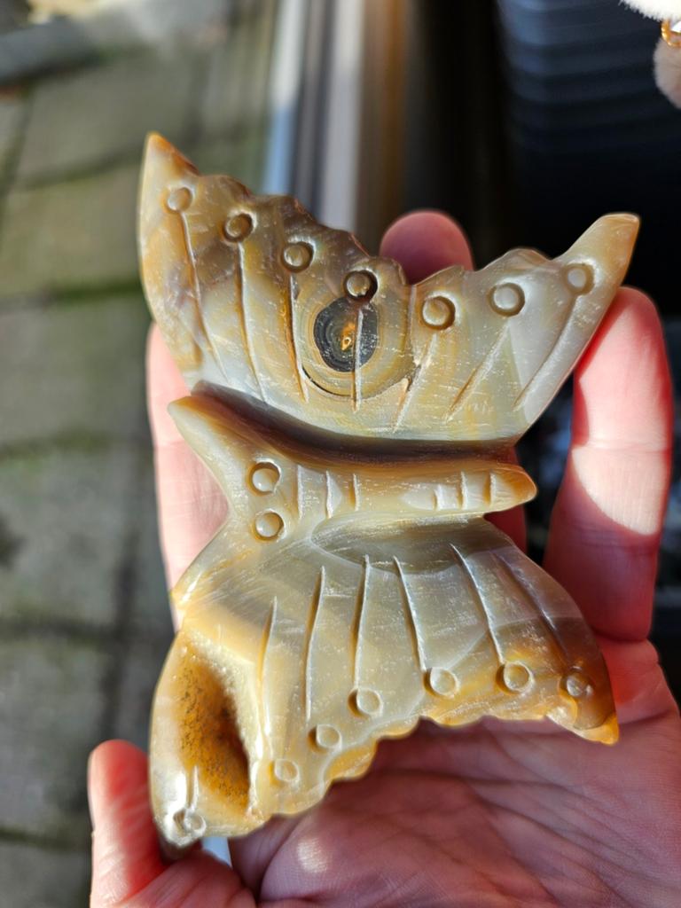 Mooie vlinder, Ophalen of Verzenden