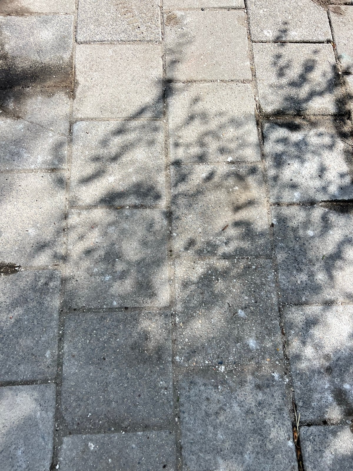 Gratis betontegels voor oprit of terras (ca. 35m2), Ophalen, Gebruikt, 10 m² of meer, Beton
