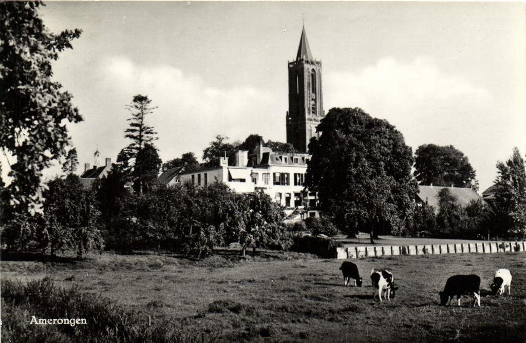 Amerongen - gezicht op kerk en Oranjestein - koeien - 1962 g, Ophalen of Verzenden, 1960 tot 1980, Gelopen, Utrecht
