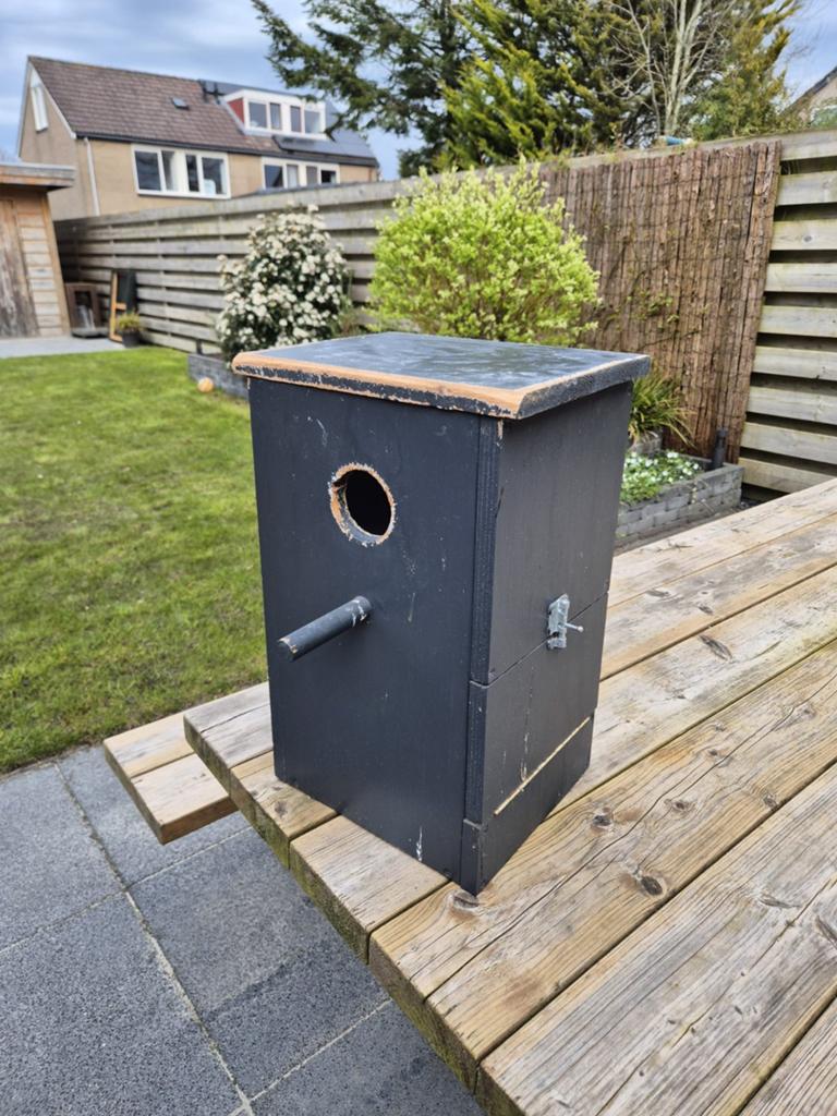 Broedblok grote parkieten, Meerdere dieren, Parkiet