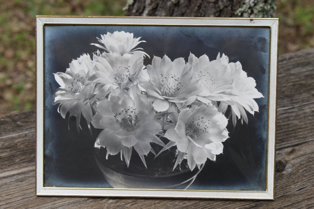 Brocante - Vier forse Franse fotolijsten!, Ophalen of Verzenden, Gebruikt, Met glas