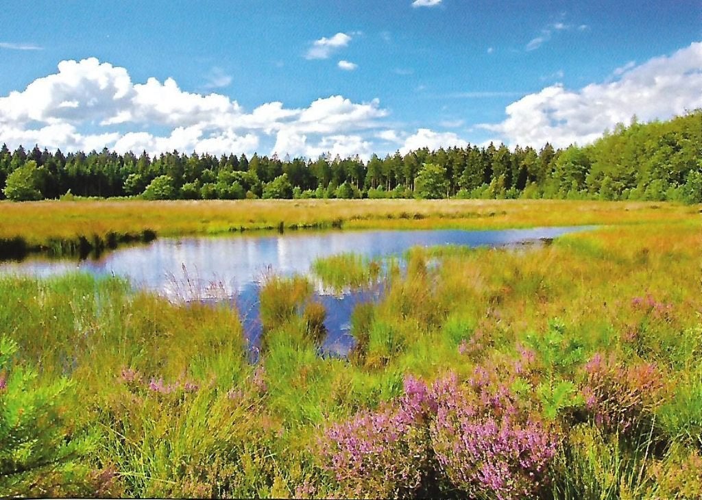 Grolloo- -Blanke Veen., Ophalen of Verzenden, 1980 tot heden, Ongelopen, Drenthe