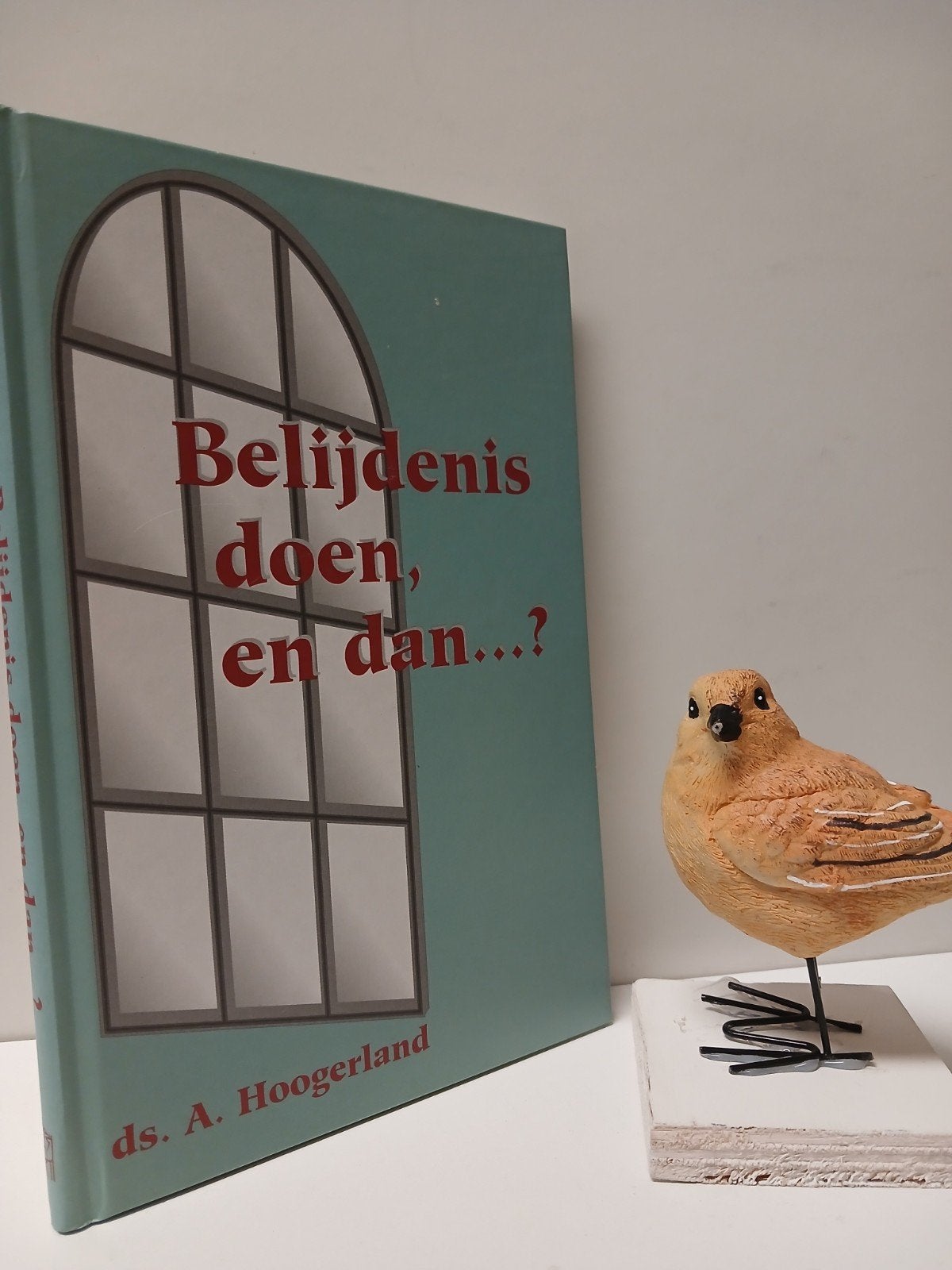 Hoogerland, Ds. A.; 	Belijdenis doen, en dan….?, Ophalen of Verzenden, Zo goed als nieuw, Christendom | Protestants