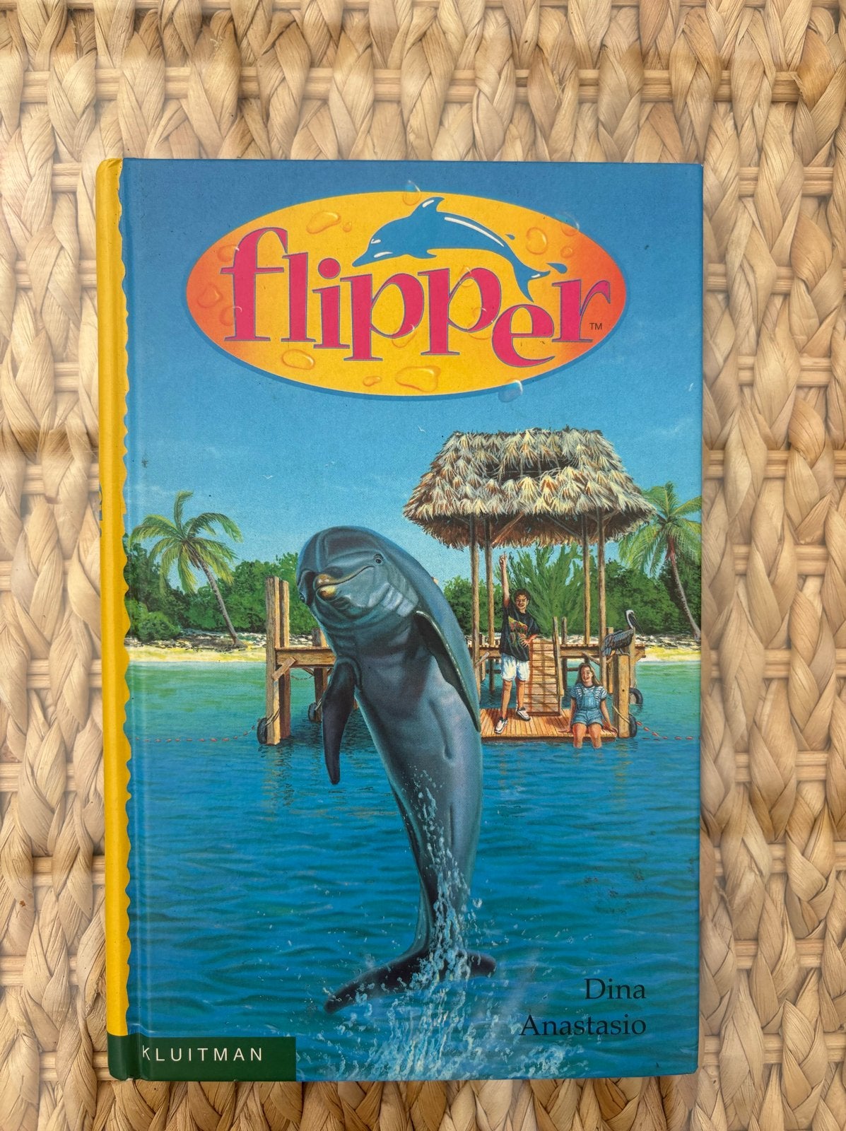 Flipper: Het dolfijnenavontuur van Sandy, Ophalen of Verzenden, Gelezen, Fictie algemeen