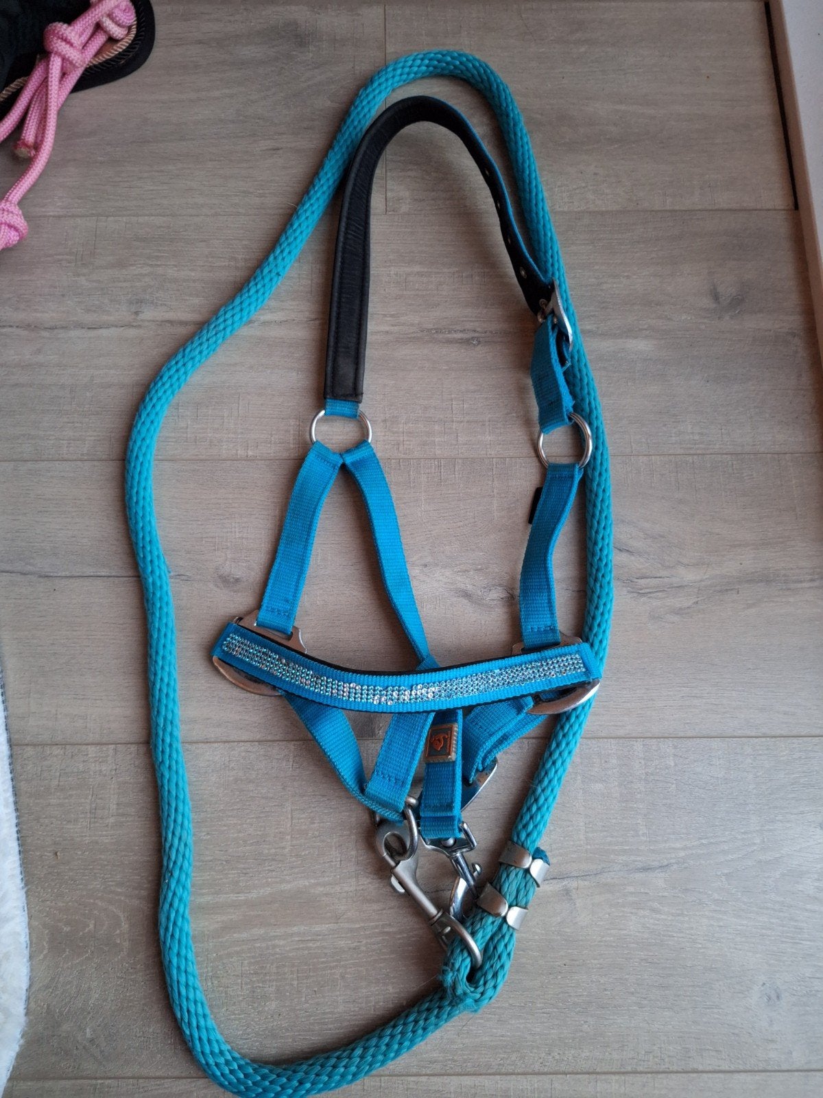 halster maat pony epplejeck, Dieren en Toebehoren, Gebruikt, Blauw, Inclusief touw, Ophalen of Verzenden