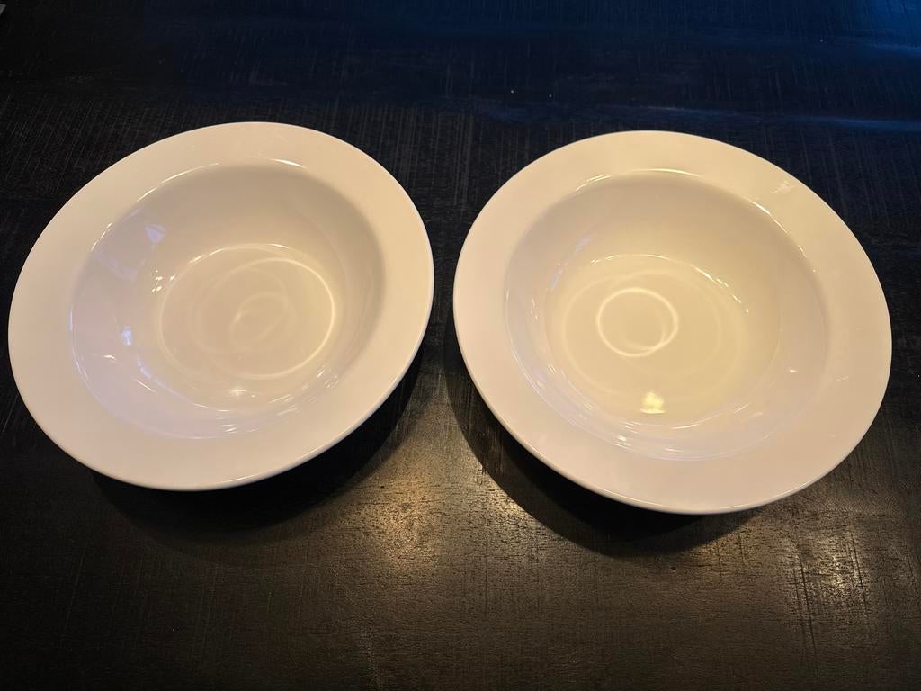 2 Grote Horeca Catering Schalen van Truyts(31,5 cm), Huis en Inrichting, Keuken | Servies, Ophalen of Verzenden, Nieuw, Overige stijlen