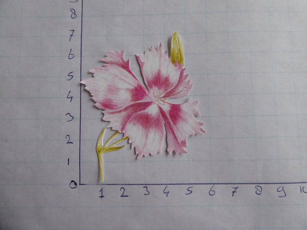 nr. 302 - uitgeknipt 3d plaatje, Ophalen of Verzenden, Nieuw, Overige thema's, Knipvel