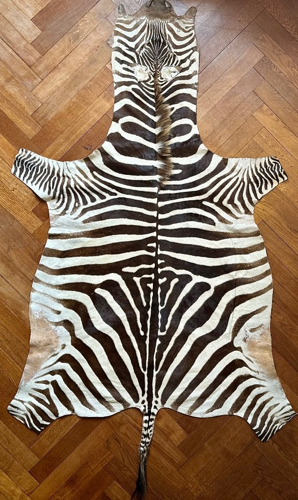 Echte zebra vacht, Net, 200 cm of meer, Ophalen of Verzenden, Zo goed als nieuw