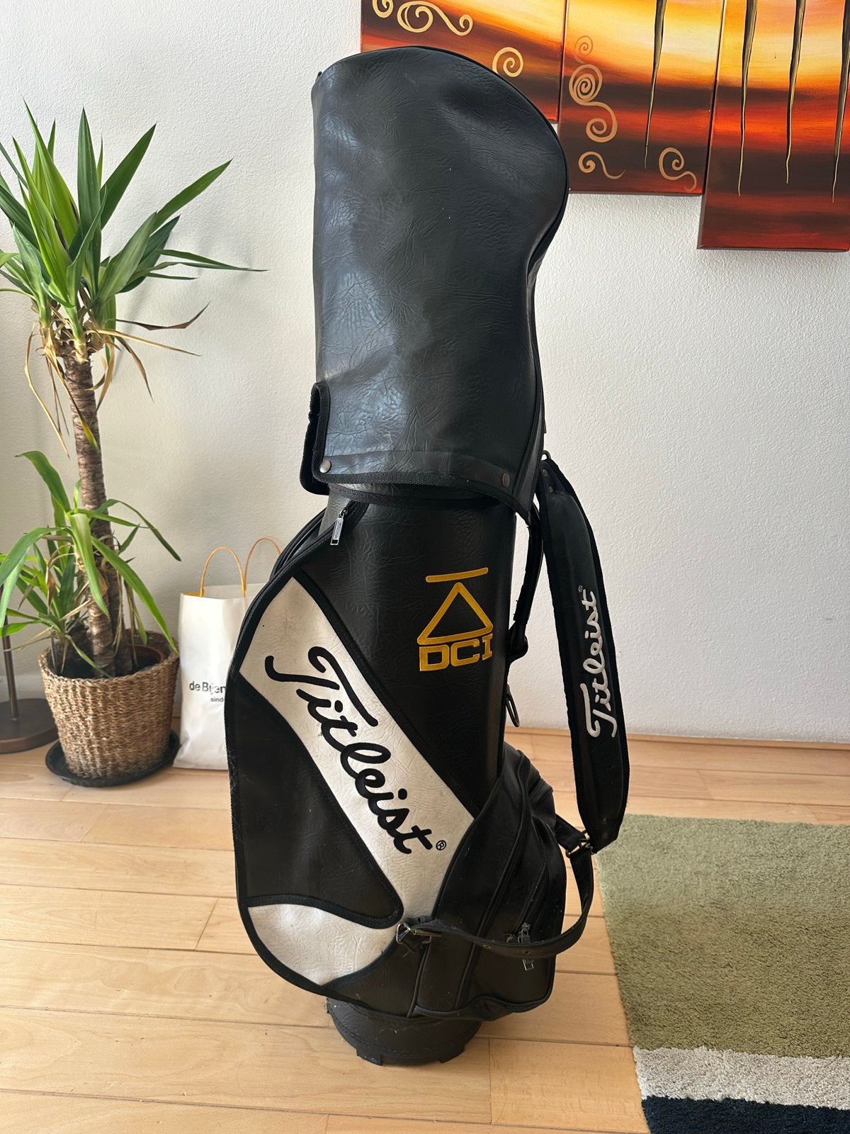 Complete Titleist Golfset met Tas - Vintage, Ophalen of Verzenden, Gebruikt, Set